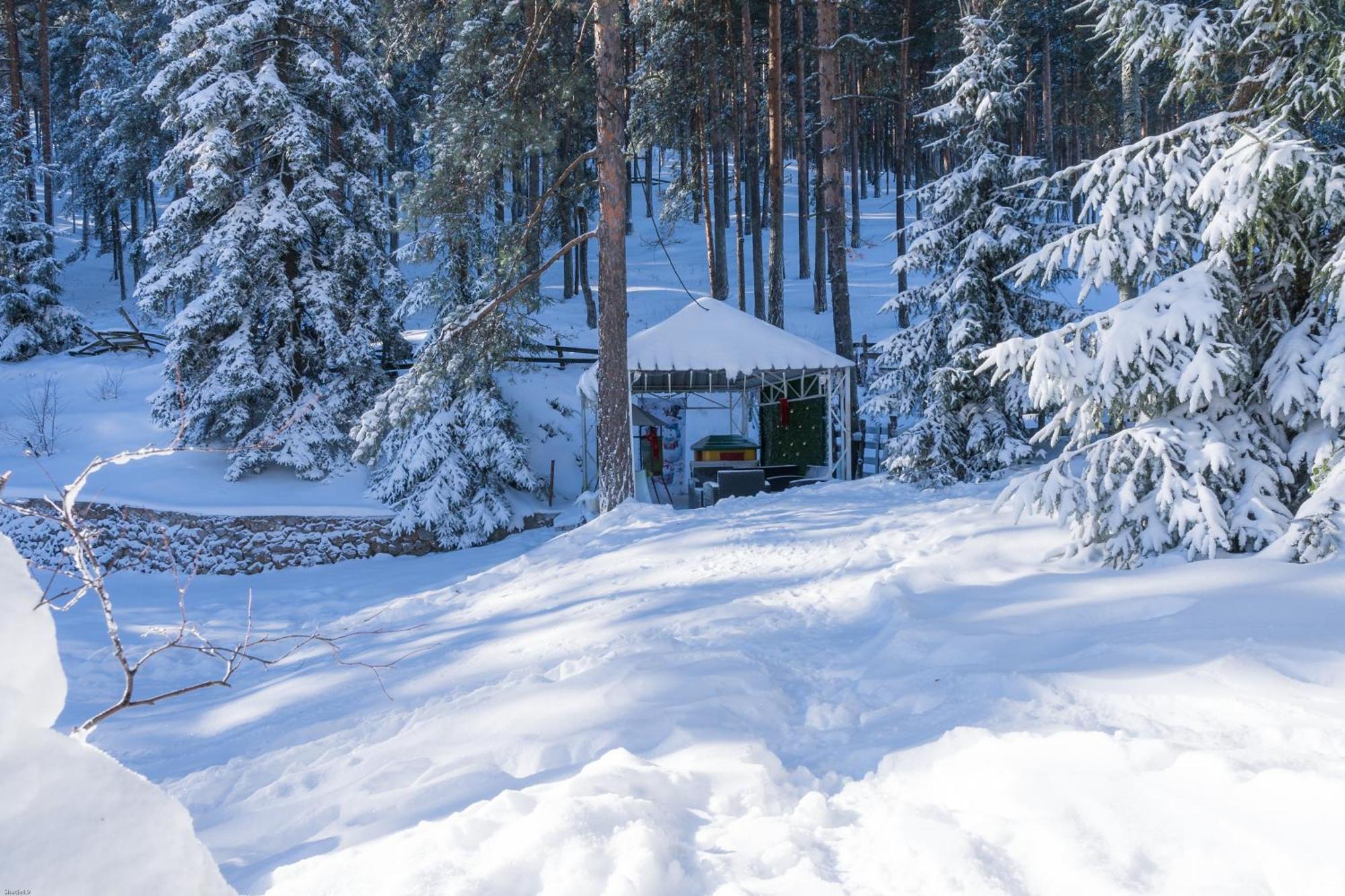 Vila Pogled Wellness I Spa Divčibare Buitenkant foto