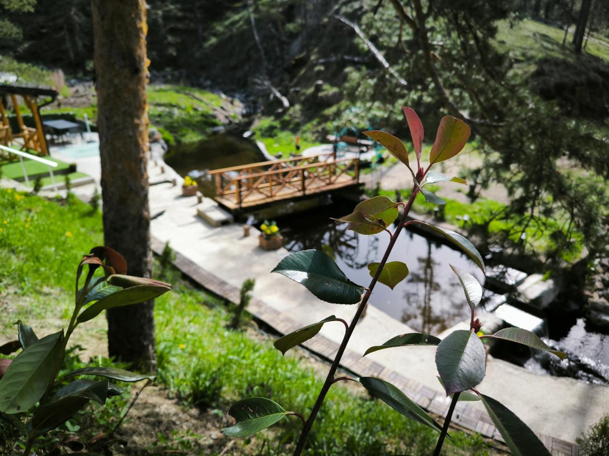 Vila Pogled Wellness I Spa Divčibare Buitenkant foto